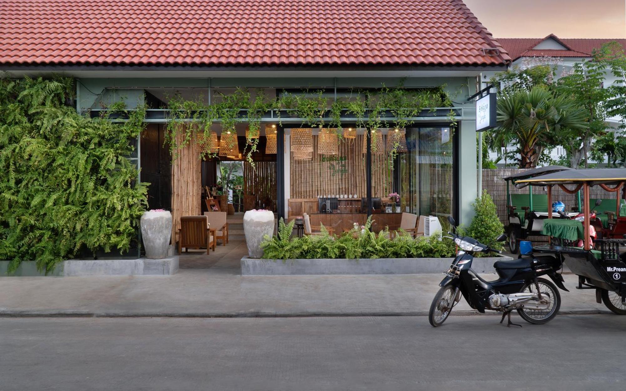 Hotel The Jungle 4*